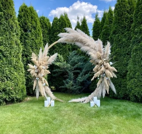 Backdrop de Flores Secas y Pampas