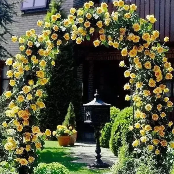 Arco floral amarillo